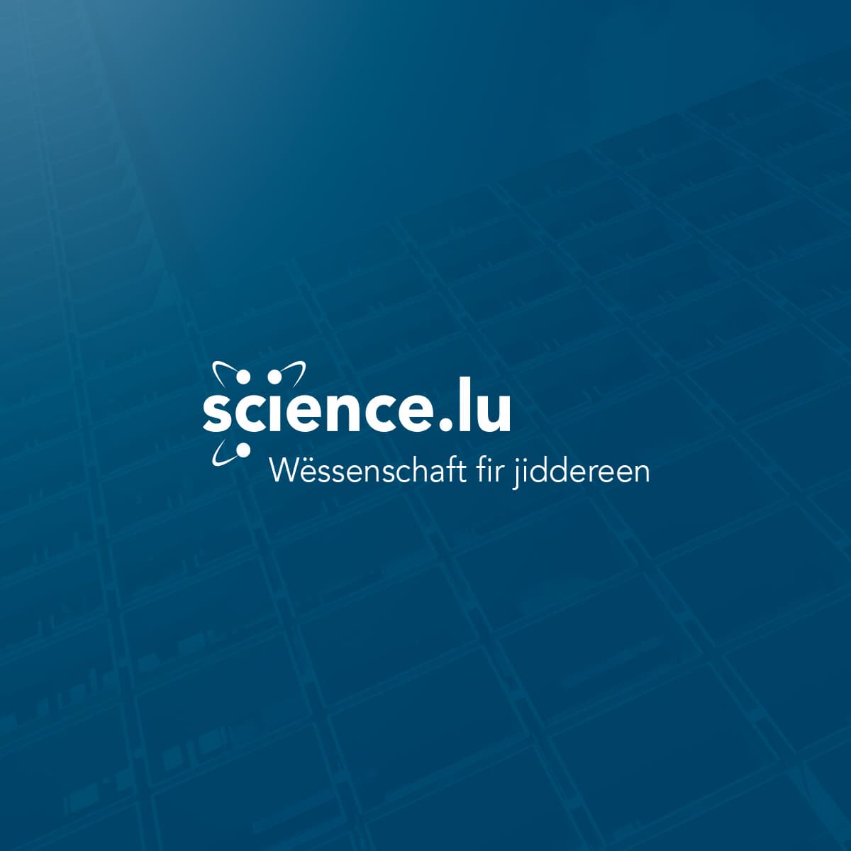 Astronomie en fin d'été