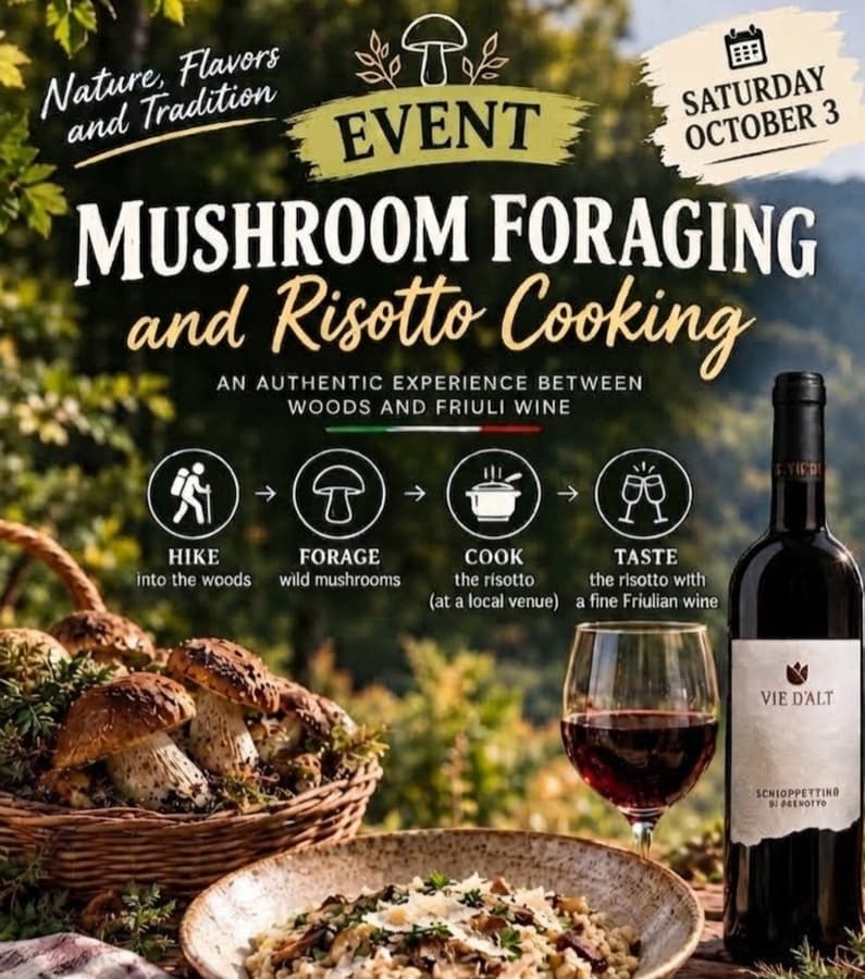 Mushroom Foraging and Risotto Experience in Luxembourg