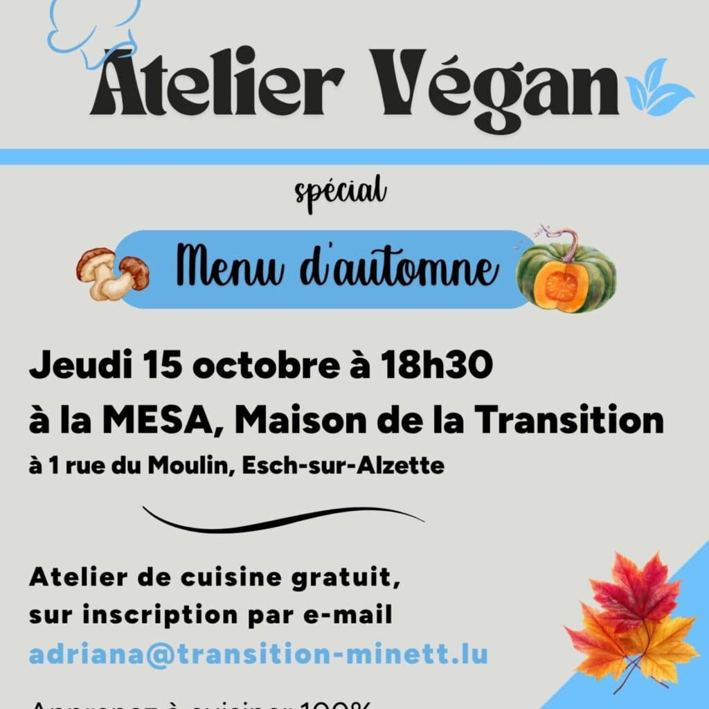 Vegan cooking workshop