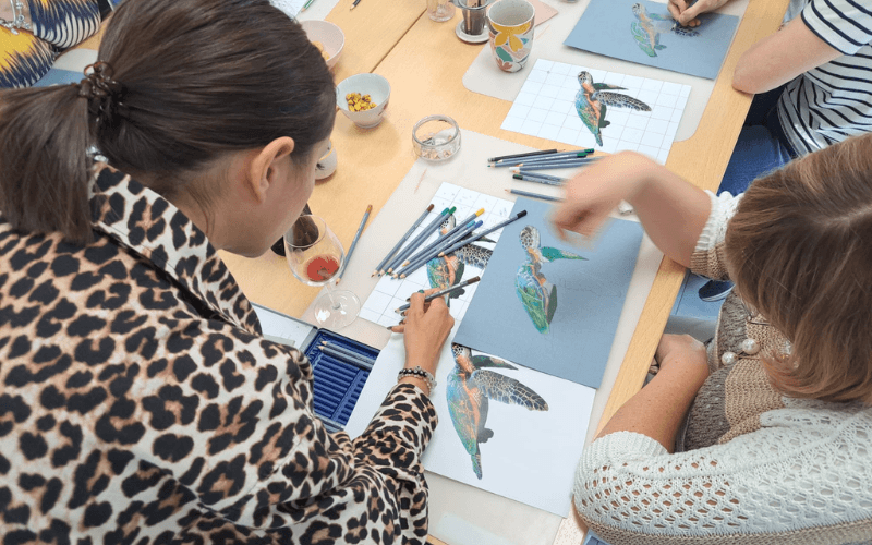 Animal Drawing Workshop: Moth