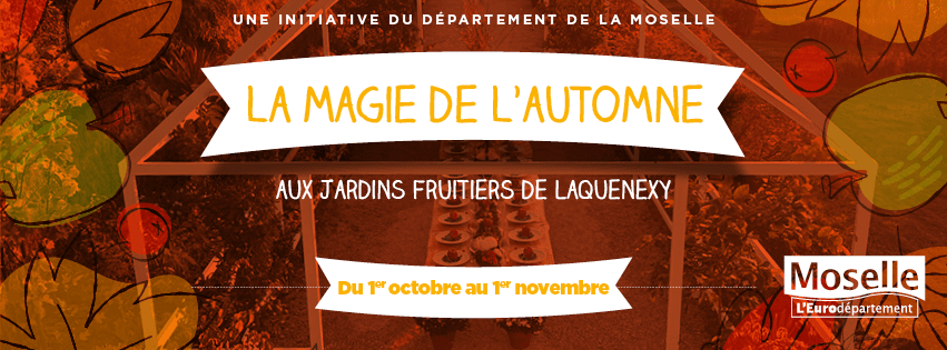 La magie de l'automne
