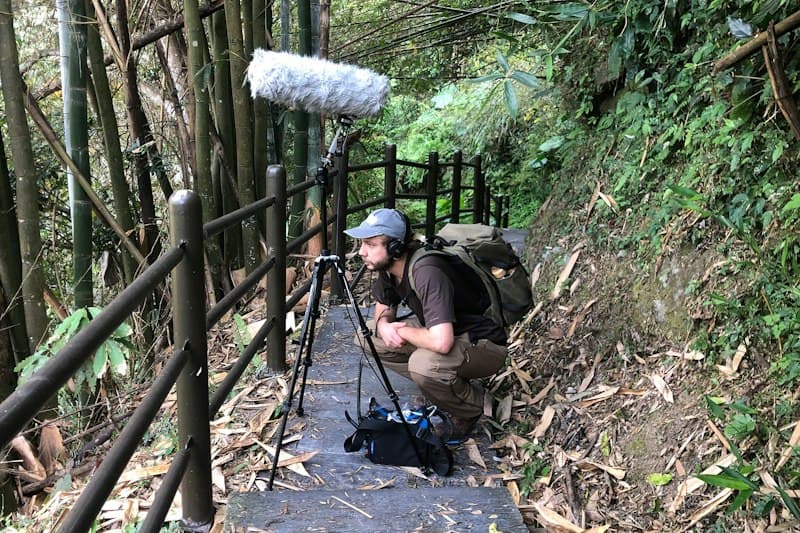 Sonic Realm: A Public Field-Work Sound