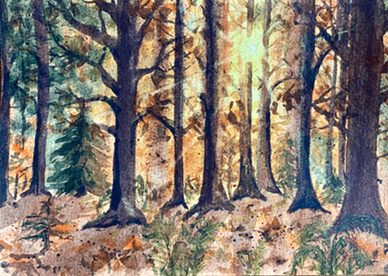 Atelier aquarelle – Forêt d’automne
