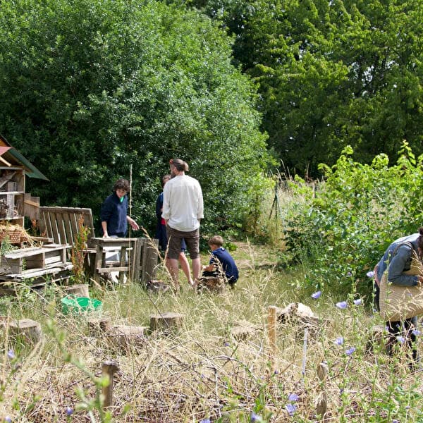 Jardin partagé