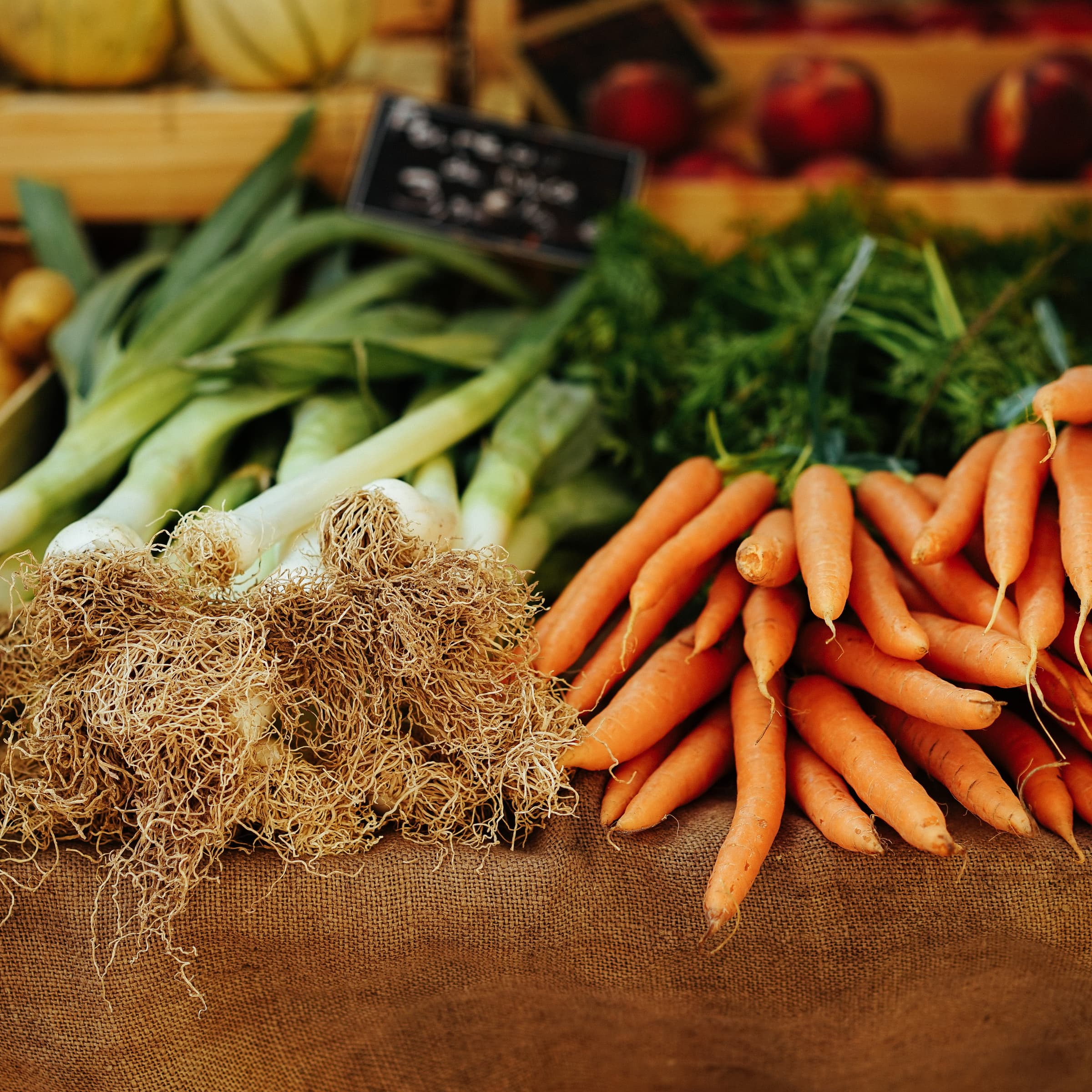 BIO-Dégustation avec SOS Faim