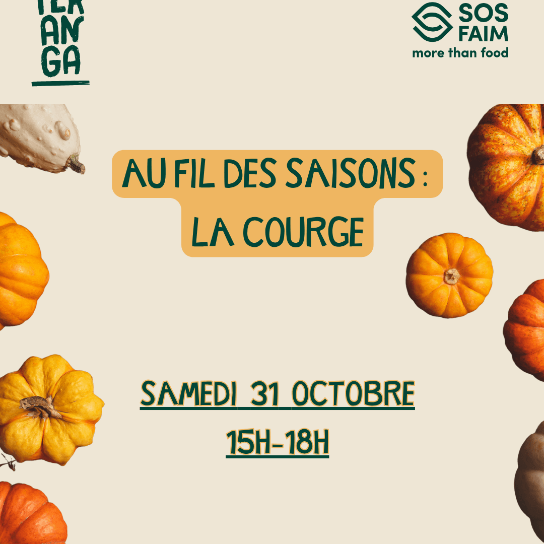 Au fil des saisons : la courge