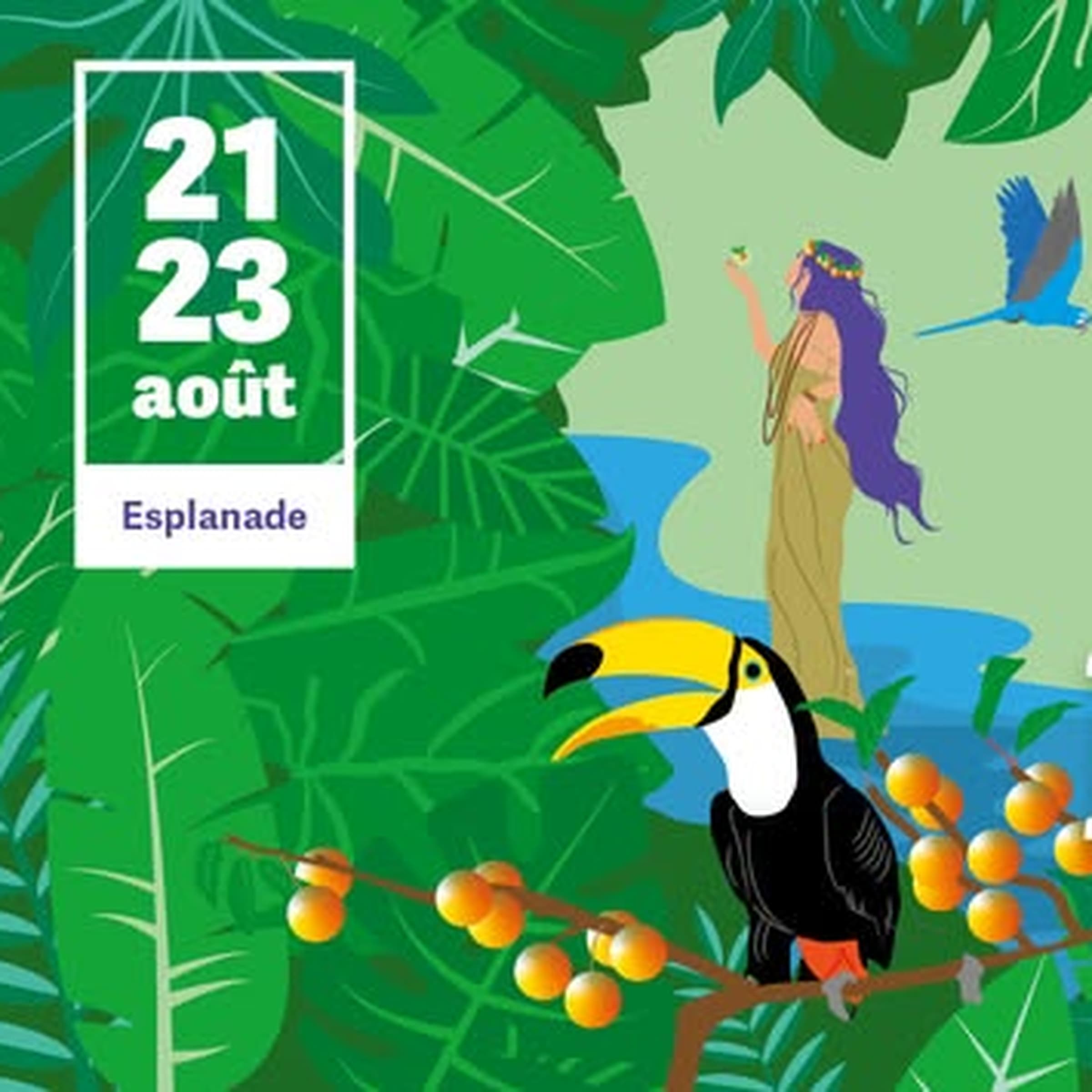 Concours de tarte à la Mirabelle originale 2026