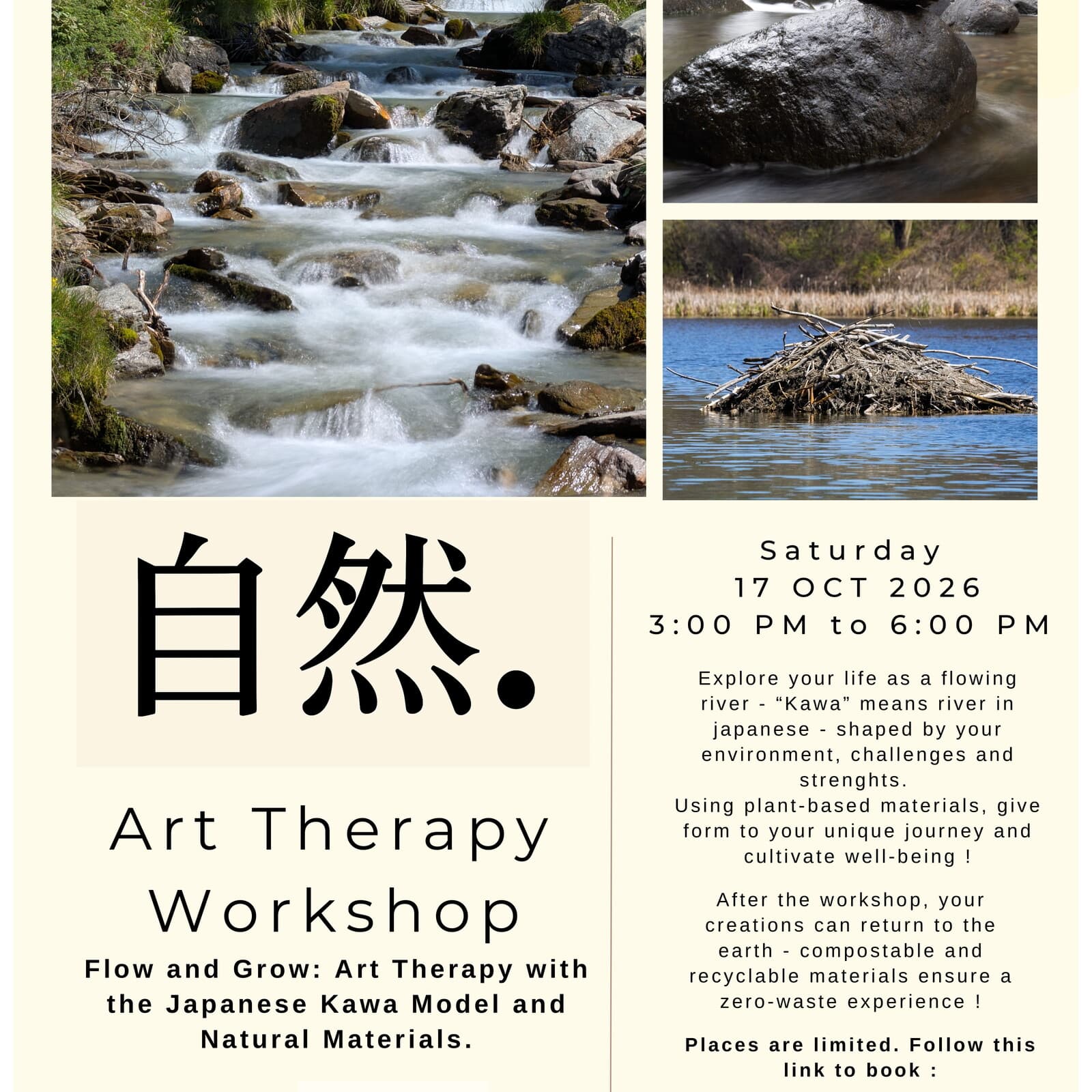 Flow & Grow: Kawa Model Art Therapy Workshop.
