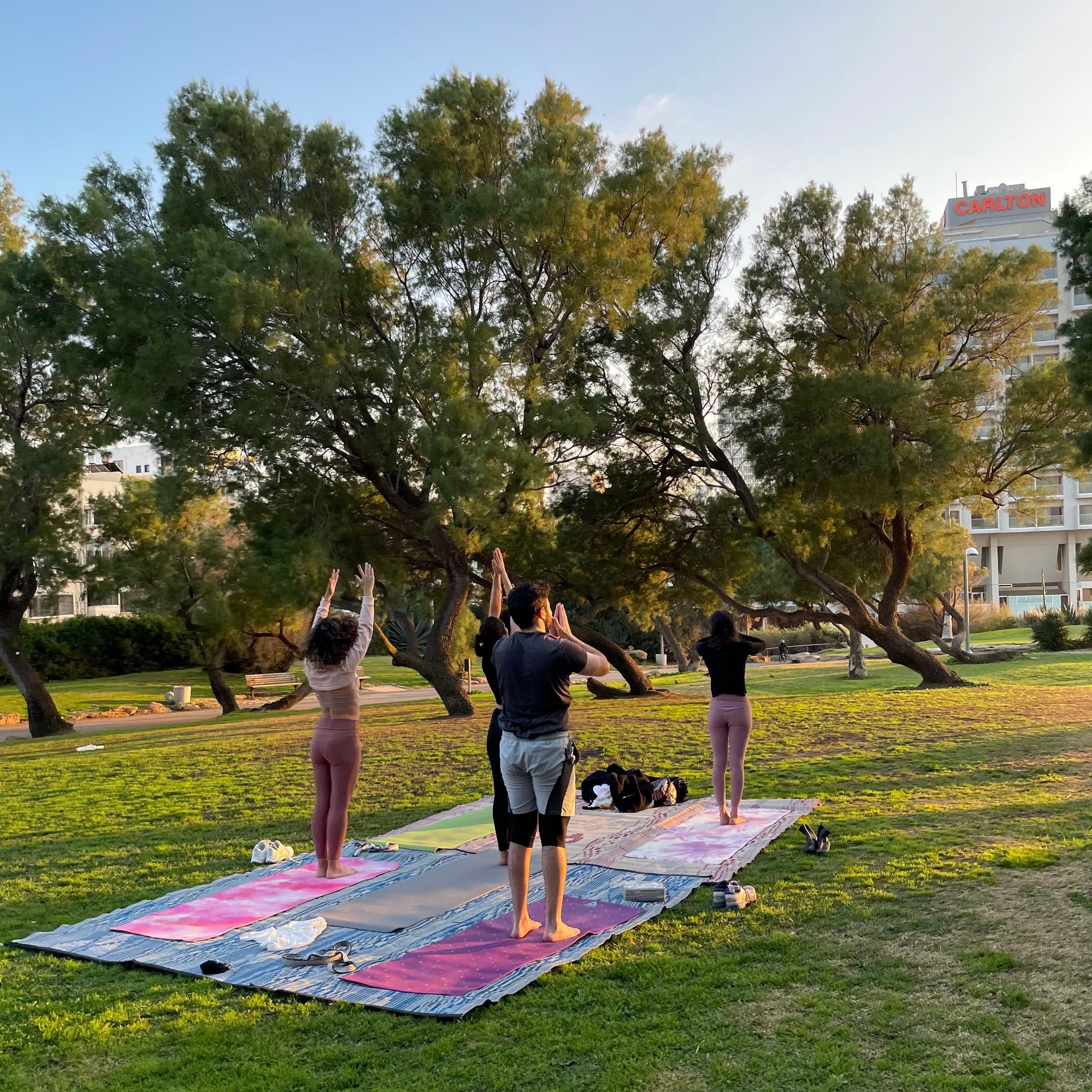 Yoga - Seniors