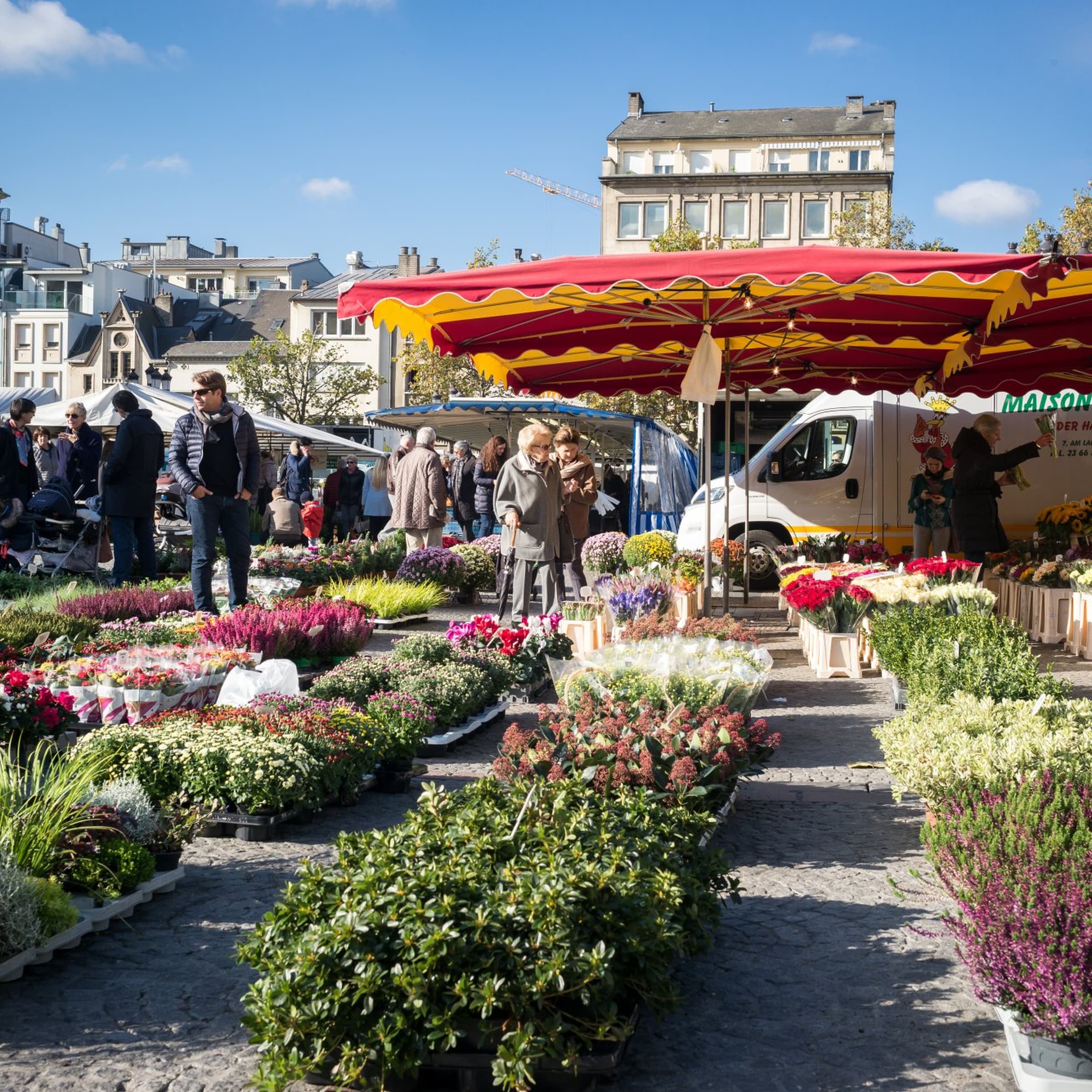 Come stroll around the markets in the heart of the capital
