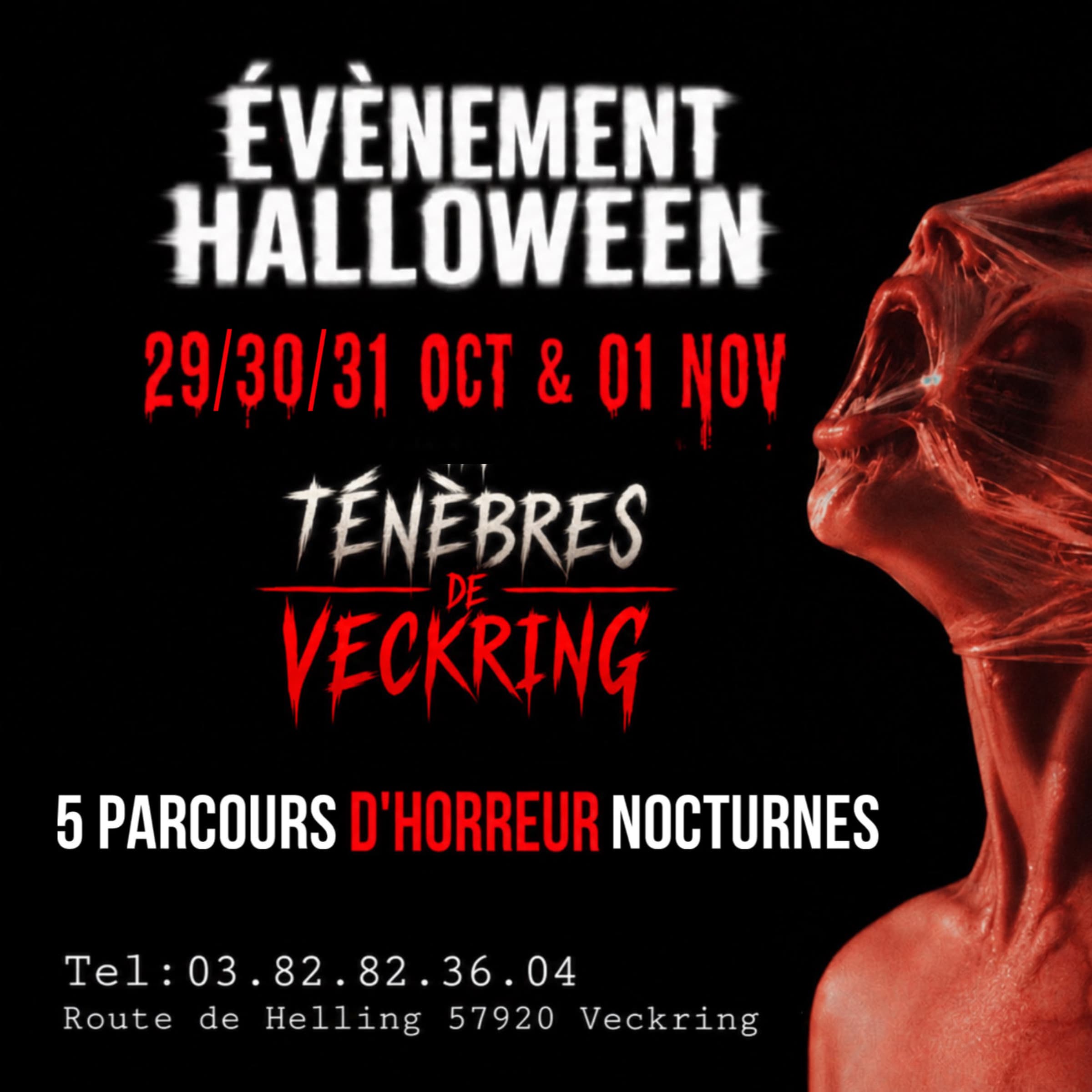 Les Ténèbres de Veckring