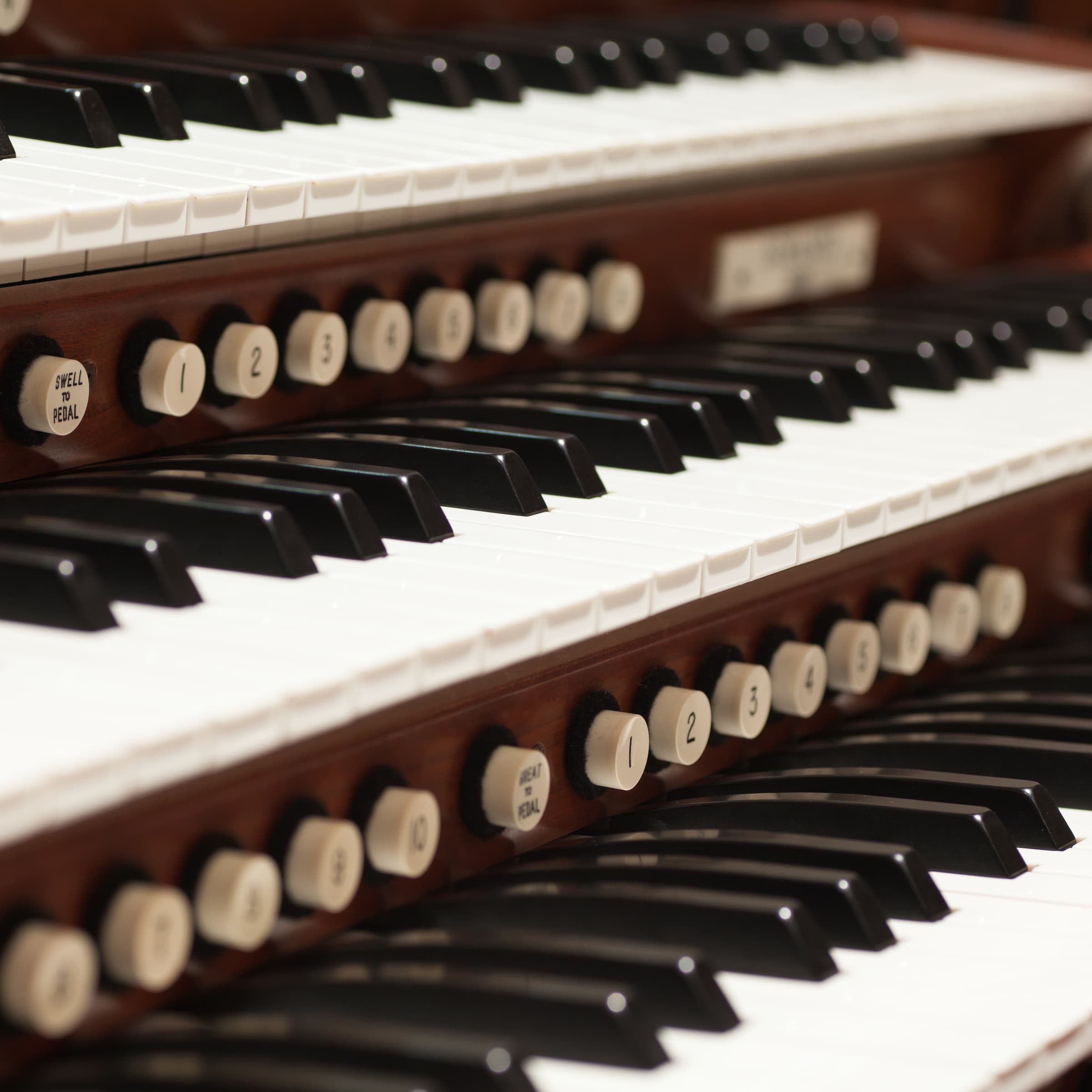 Musical evenings return to the Royal Lounge