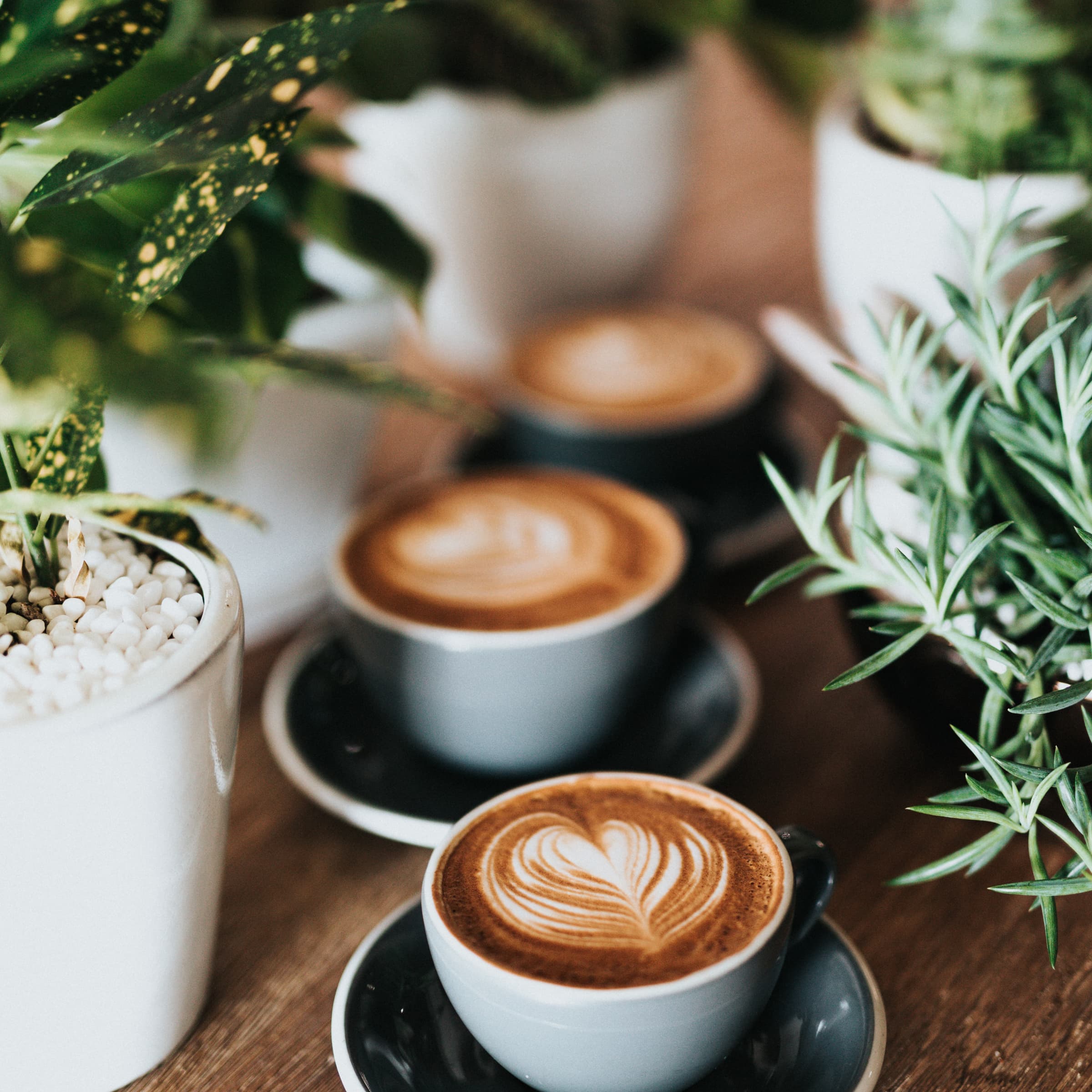 Coffee gathering of the “Oeuvres paroissiales Bous”