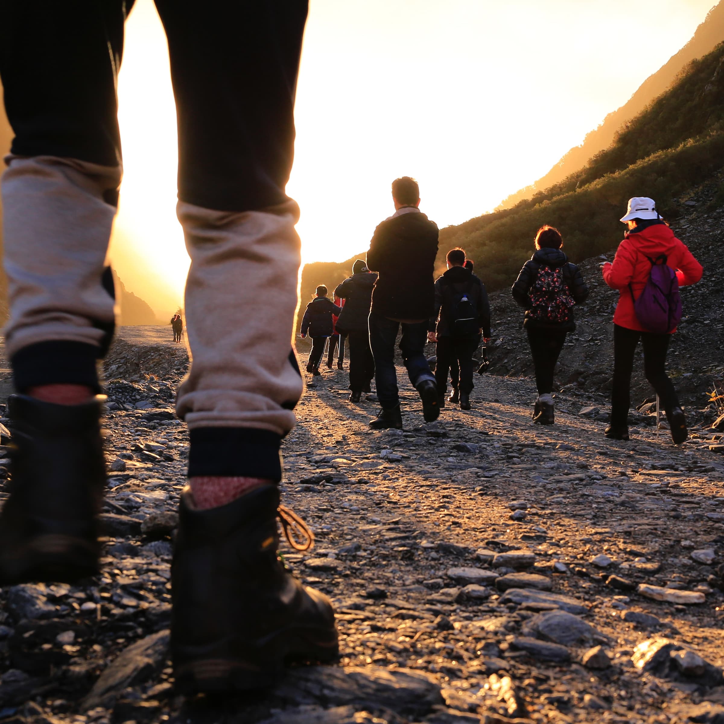 41st Popular Walk