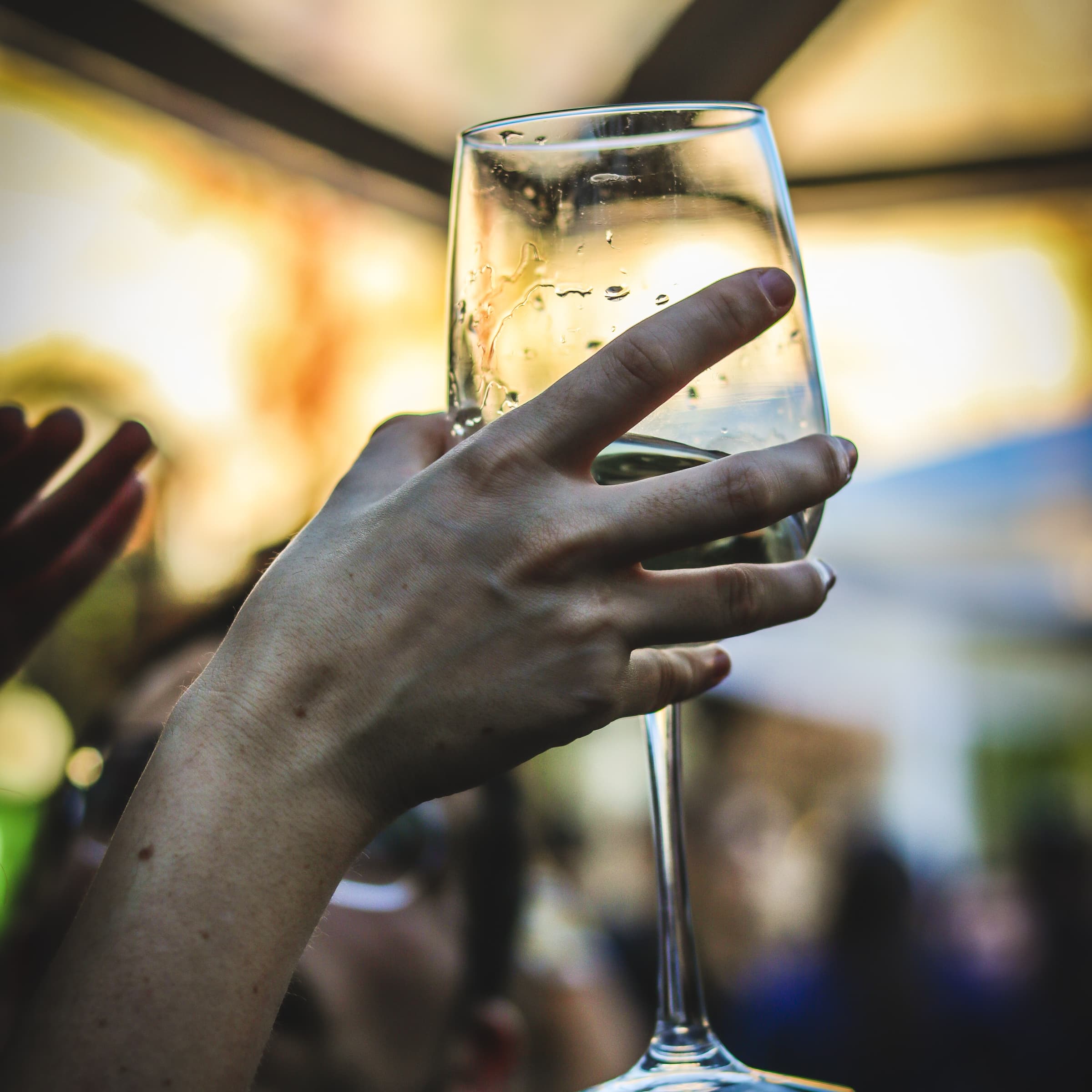 19th Wine Event 40th Wine Tasting