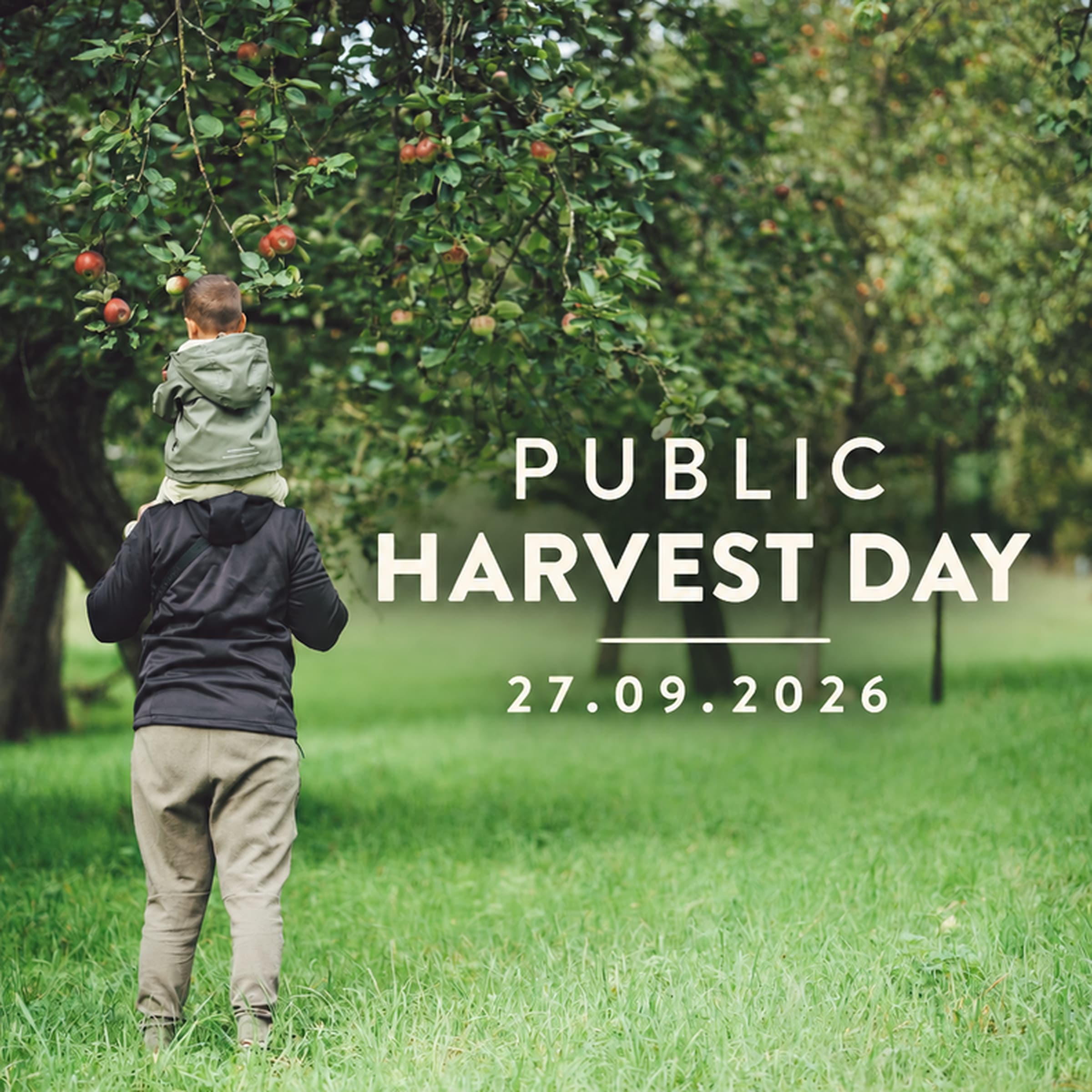 Public Harvest Day at Ramborn