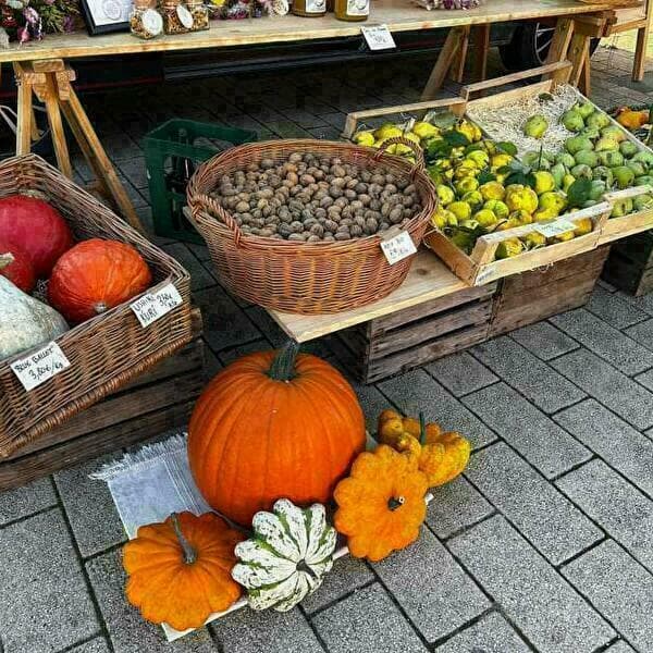 Marché de producteurs locaux