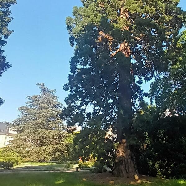 Sophro walk at the Botanical Garden