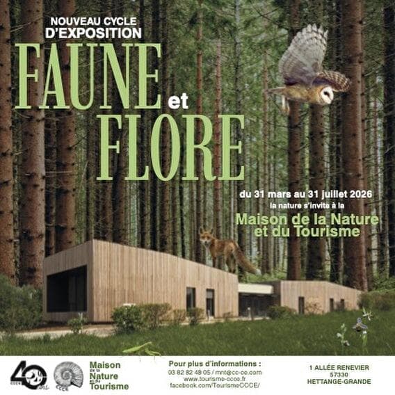 Faune et Flore cycle - A fascinating journey into biodiversity