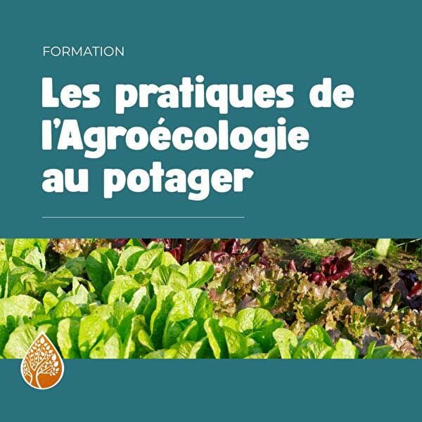 Les pratiques de l’Agroécologie au potager