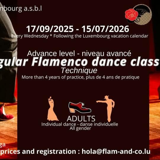 Flamenco for adults: advanced: technique (every Wednesday)