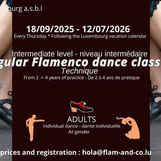 Flamenco for adults: INTERMEDIATE 2 / INTERMEDIAIRE 2: Technique