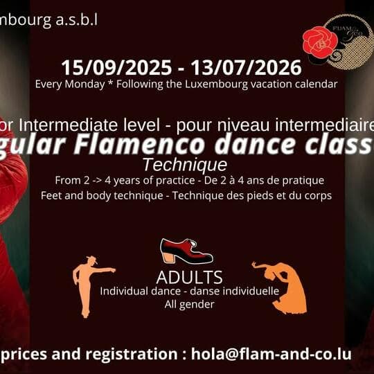 Flamenco for Adults: INTERMEDIATE 1: technique (Every Monday)