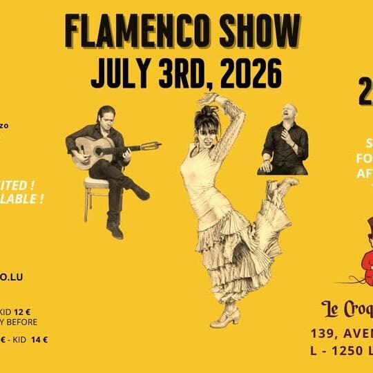 Intimate Flamenco Show & After Talk