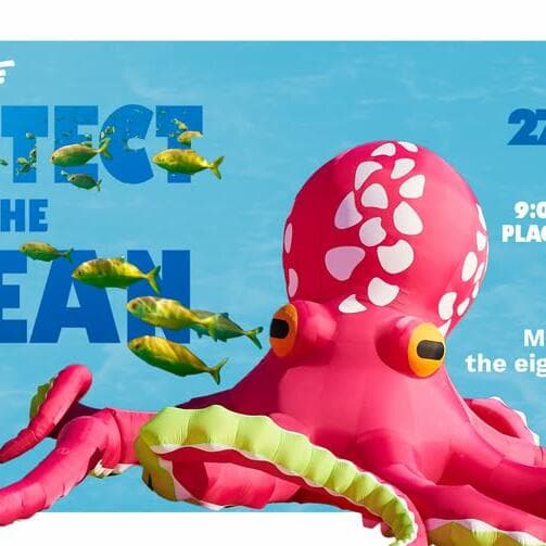 Meet Billie, the Giant Octopus