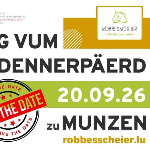 Dag vum Ardennerpäerd 2026 – Ardennes Horse Day!