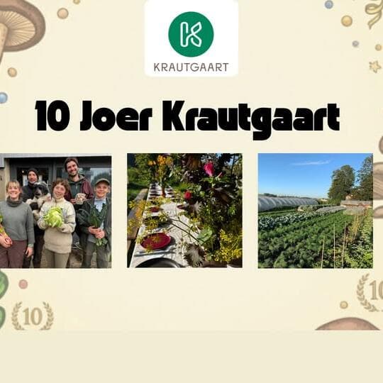 10 Years of Krautgaart