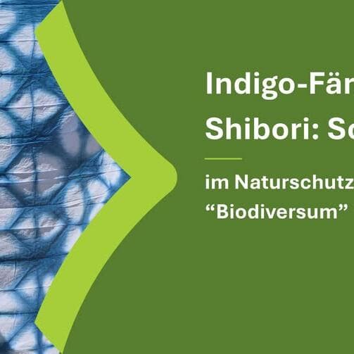 Indigo Dyeing and Shibori: Scarf
