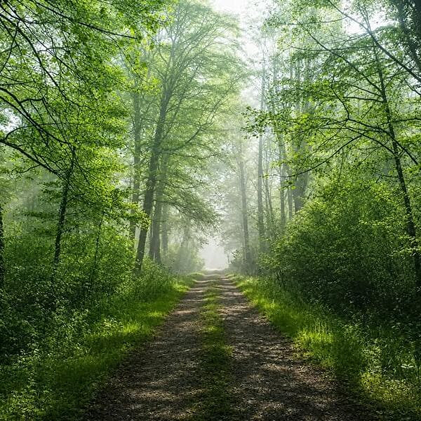 Hike “Around Grand Musson”