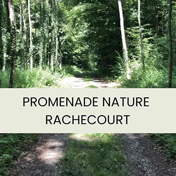 Promenade nature | « La cour des Grands »