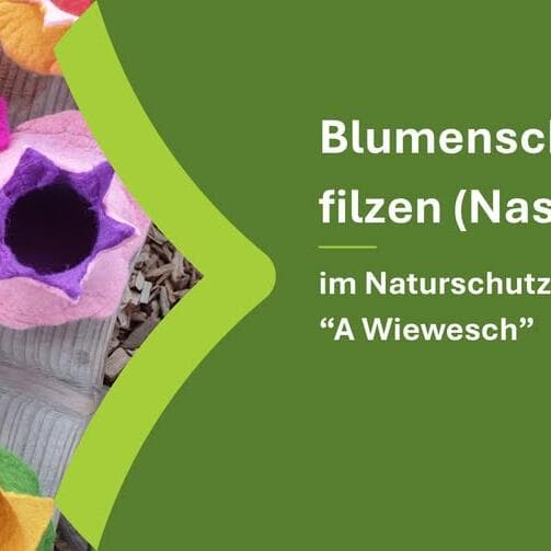 Felting flower boxes (wet felting)