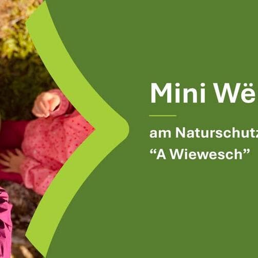 Mini Wënzer