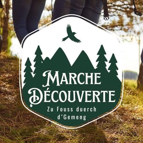 Discovery Walk – On Foot Through the Municipality