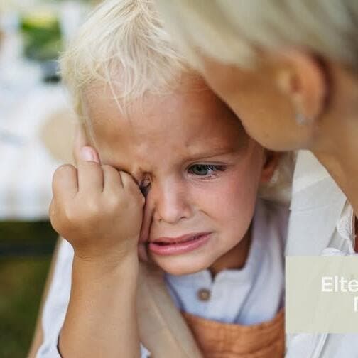 Grandes émotions, parents calmes : comprendre et réguler les émotions