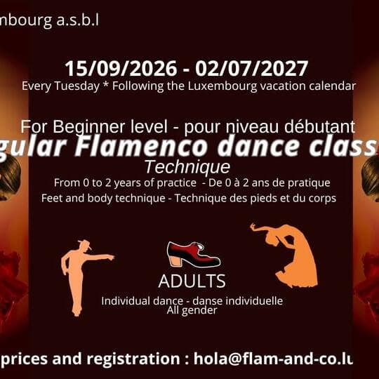 Beginner Adult Flamenco: Tuesday Technique