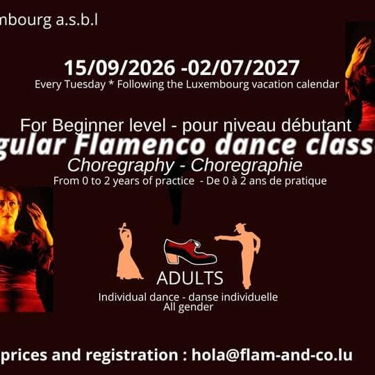 Beginner adult flamenco: choreography every Tuesday