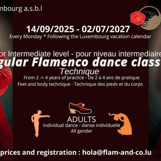 Adult Flamenco: Intermediate 1 – technique class
