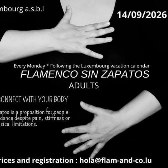 Flamenco sin Zapatos — Your body, your rhythm, your flamenco