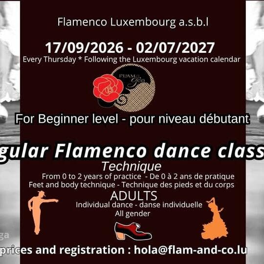 Adult beginner flamenco: technique