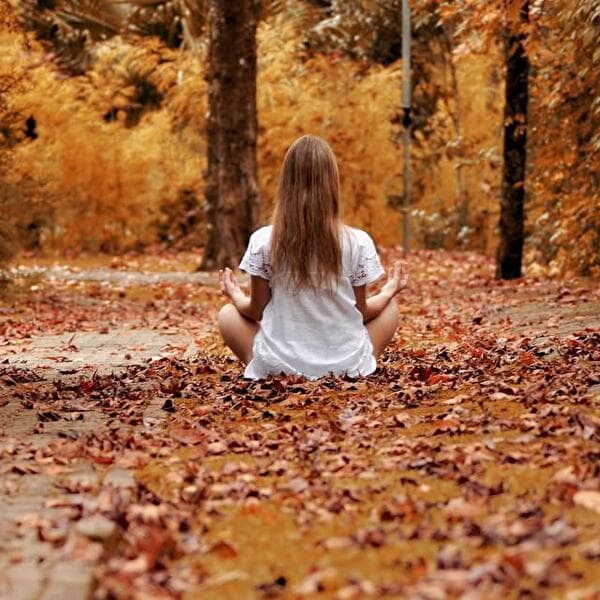 Bain de forêt et sylvothérapie – Expérience immersive