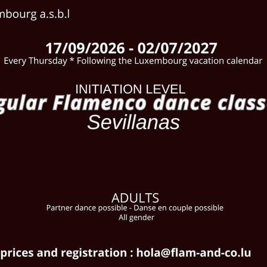 Flamenco adultes : Sevillanas pour débutants