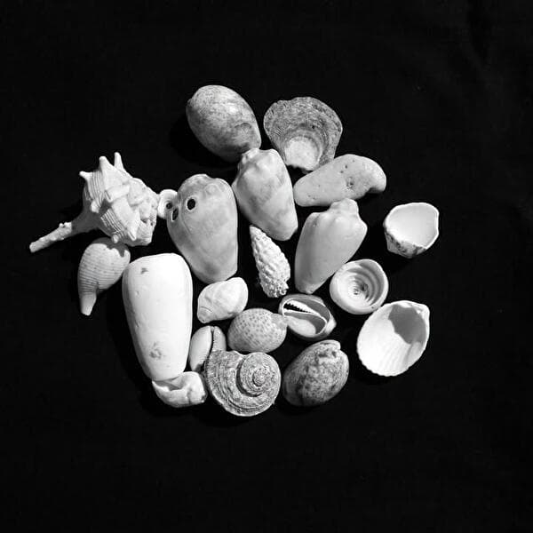 Youth Corner Photo | Ages 6–12 | These Objects That Tell Our Stories