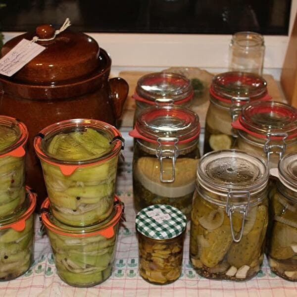 Lacto-fermentation workshop