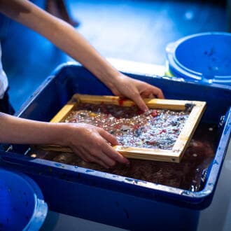 Let's make paper! | Learn the basics of papermaking