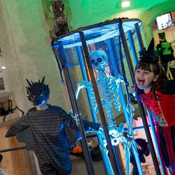 Special Halloween Night