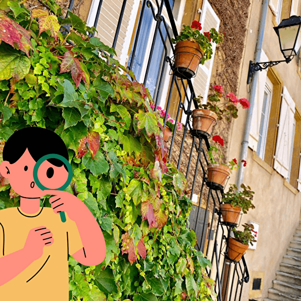 Théodon sur les traces des vignerons
